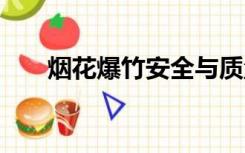 烟花爆竹安全与质量GB10631-2013