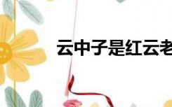 云中子是红云老祖吗（云中子）