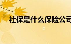 社保是什么保险公司（社保是什么保险）