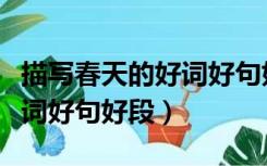 描写春天的好词好句好段古诗（描写春天的好词好句好段）