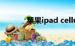 苹果ipad cellular版什么意思