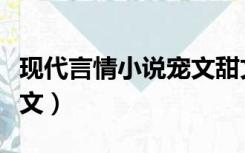 现代言情小说宠文甜文短篇（现代言情小说宠文）