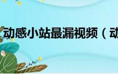动感小站最漏视频（动感小站全集最露超清）