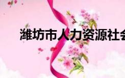 潍坊市人力资源社会保障服务系统网站