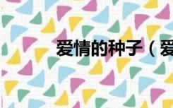爱情的种子（爱情动作bt种子）