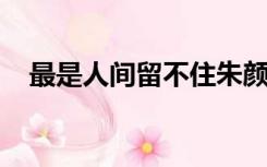 最是人间留不住朱颜辞镜花辞树什么意思