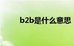 b2b是什么意思（2b是什么意思）