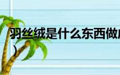 羽丝绒是什么东西做成的（羽丝绒是什么东西）