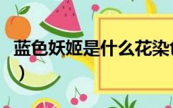 蓝色妖姬是什么花染色的（蓝色妖姬是什么花）