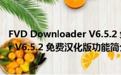 FVD Downloader V6.5.2 免费汉化版（FVD Downloader V6.5.2 免费汉化版功能简介）