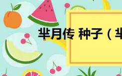 芈月传 种子（芈月传下载种子）