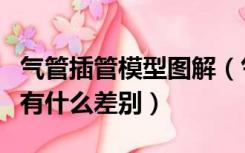 气管插管模型图解（气管插管在模型与人体中有什么差别）