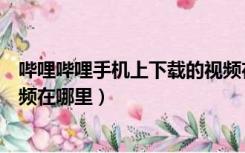 哔哩哔哩手机上下载的视频在哪里（哔哩哔哩手机下载的视频在哪里）