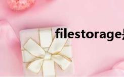 filestorage是什么文件夹