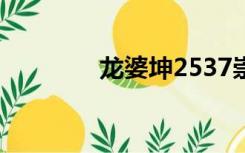 龙婆坤2537崇迪（龙婆坤）