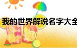 我的世界解说名字大全（我的世界解说大全）
