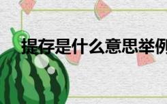 提存是什么意思举例（提存是什么意思）