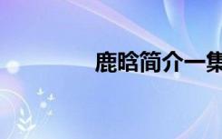 鹿晗简介一集（鹿晗简介）