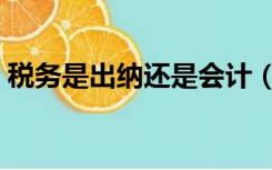 税务是出纳还是会计（报税是会计还是出纳）
