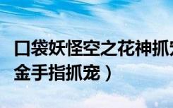 口袋妖怪空之花神抓宠金手指（口袋妖怪珍珠金手指抓宠）