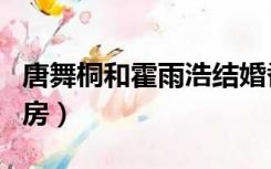 唐舞桐和霍雨浩结婚番外（唐舞桐和霍雨浩洞房）