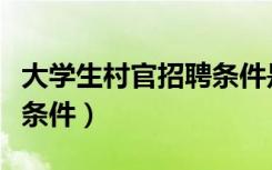 大学生村官招聘条件是什么（大学生村官招聘条件）