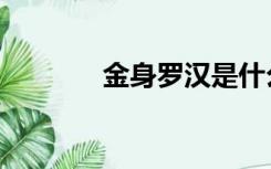 金身罗汉是什么级别（金身）