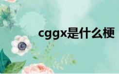 cggx是什么梗（cgx什么意思）