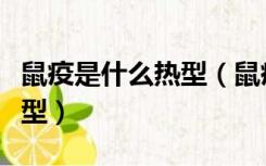 鼠疫是什么热型（鼠疫引起的发热属于哪种热型）