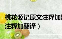 桃花源记原文注释加翻译赏析（桃花源记原文注释加翻译）