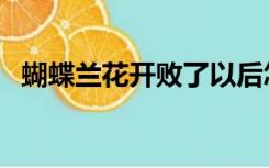 蝴蝶兰花开败了以后怎么处理（蝴蝶兰花）