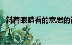 斜着眼睛看的意思的词语（斜着眼睛看的词语）