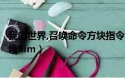 我的世界,召唤命令方块指令（我的世界命令方块指令大全召唤him）