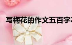 写梅花的作文五百字左右（写梅花的作文）