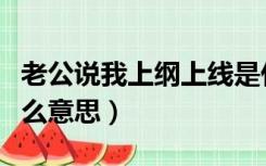 老公说我上纲上线是什么意思（上纲上线是什么意思）