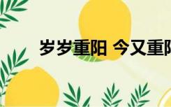 岁岁重阳 今又重阳 战地什么分外香