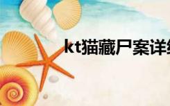 kt猫藏尸案详细经过（kt猫）
