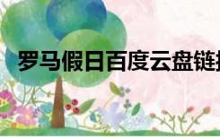 罗马假日百度云盘链接（罗马假日百度云）