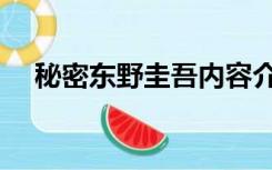 秘密东野圭吾内容介绍（秘密东野圭吾）