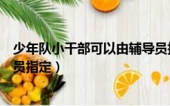 少年队小干部可以由辅导员指定（少先队小干部可以由辅导员指定）