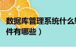 数据库管理系统什么软件（数据库管理系统软件有哪些）