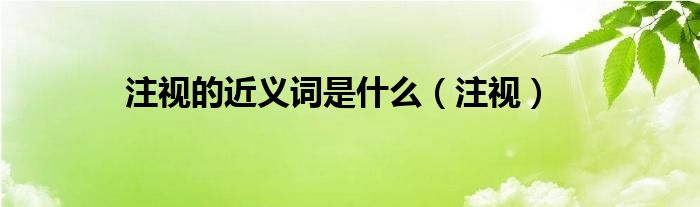 动态吃瓜网友科普：注视的近义词是什么及其运用