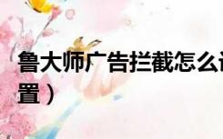 鲁大师广告拦截怎么设置（鲁大师广告拦截设置）