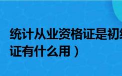 统计从业资格证是初级职称吗（统计从业资格证有什么用）