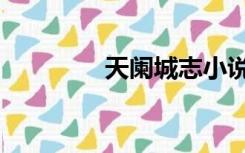 天阑城志小说（天阑城志）