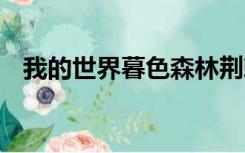 我的世界暮色森林荆棘城堡为什么没boss