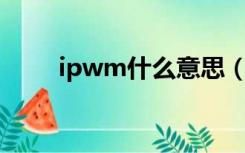 ipwm什么意思（IPM是什么意思）
