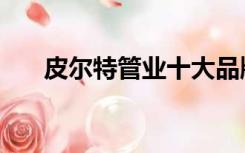 皮尔特管业十大品牌（管业十大品牌）