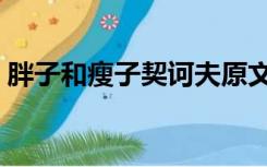 胖子和瘦子契诃夫原文（胖子和瘦子契诃夫）