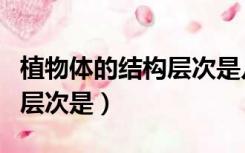 植物体的结构层次是几年级的（植物体的结构层次是）